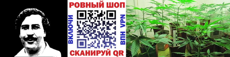 Купить наркоту Адыгейск ГАШ blacksprut сайт Меф КОКАИН СОЛЬ