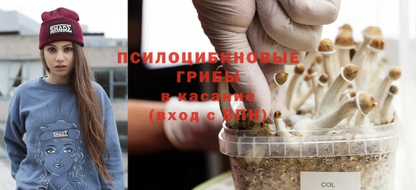 дурь Абинск